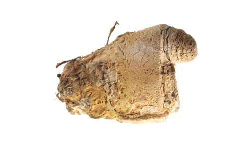 Bits and pieces from the wonderfull world of Martin Mc Nulty