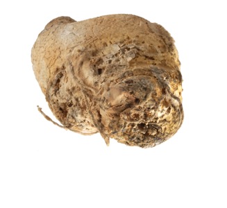 Bits and pieces from the wonderfull world of Martin Mc Nulty