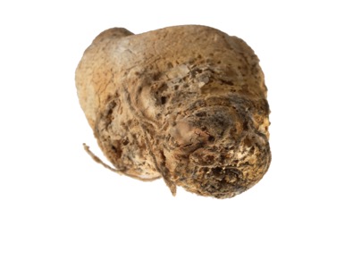 Bits and pieces from the wonderfull world of Martin Mc Nulty