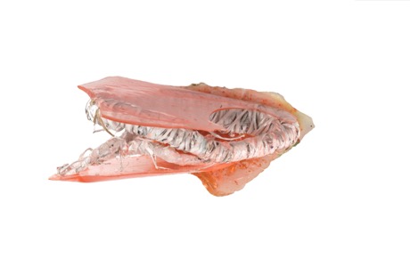 Bits and pieces from the wonderfull world of Martin Mc Nulty