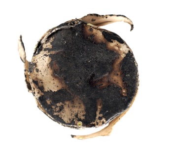 Bits and pieces from the wonderfull world of Martin Mc Nulty