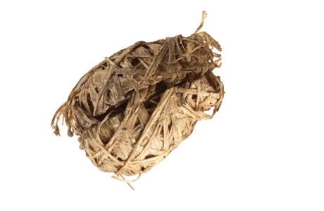 Bits and pieces from the wonderfull world of Martin Mc Nulty