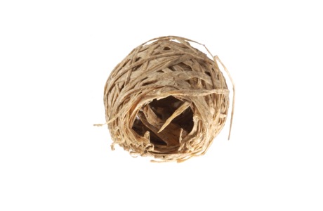 Bits and pieces from the wonderfull world of Martin Mc Nulty