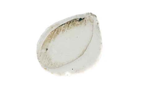 Bits and pieces from the wonderfull world of Martin Mc Nulty