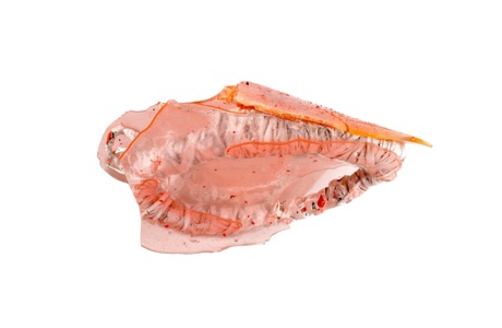 Bits and pieces from the wonderfull world of Martin Mc Nulty