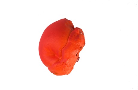 Bits and pieces from the wonderfull world of Martin Mc Nulty