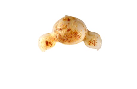 Bits and pieces from the wonderfull world of Martin Mc Nulty