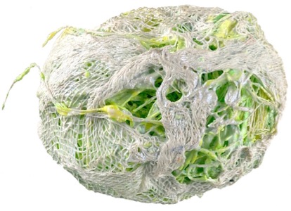 Bits and pieces from the wonderfull world of Martin Mc Nulty