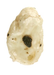 Bits and pieces from the wonderfull world of Martin Mc Nulty