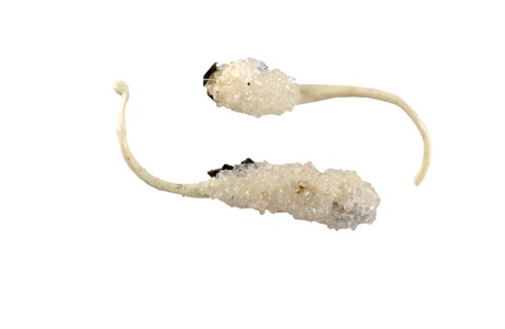 Bits and pieces from the wonderfull world of Martin Mc Nulty