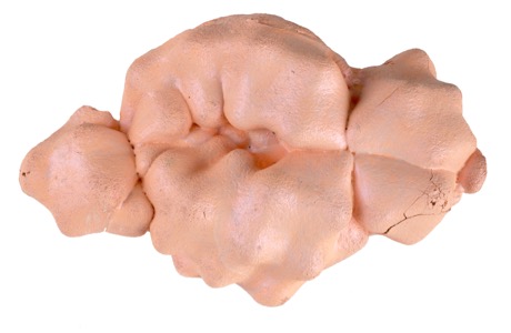 Bits and pieces from the wonderfull world of Martin Mc Nulty