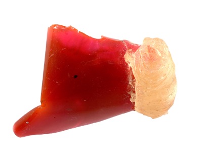 Bits and pieces from the wonderfull world of Martin Mc Nulty