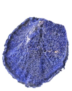 Bits and pieces from the wonderfull world of Martin Mc Nulty