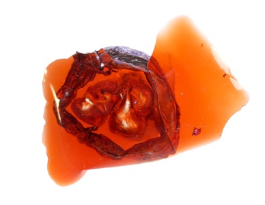 Bits and pieces from the wonderfull world of Martin Mc Nulty