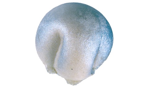 Bits and pieces from the wonderfull world of Martin Mc Nulty