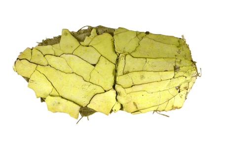 Bits and pieces from the wonderfull world of Martin Mc Nulty